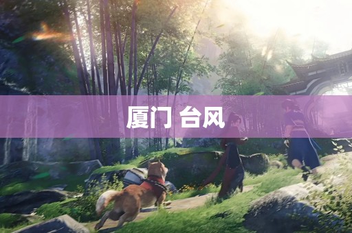 厦门 台风