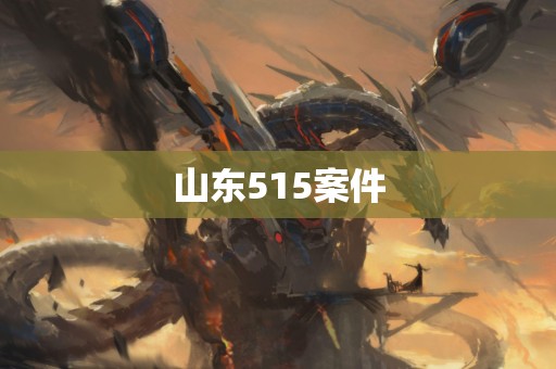 山东515案件