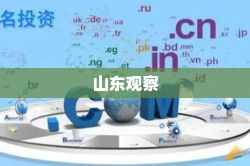山东观察