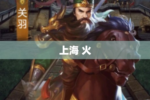 上海 火
