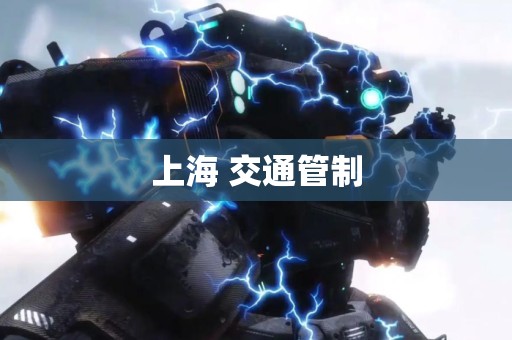 上海 交通管制