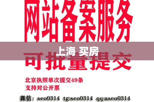 上海 买房