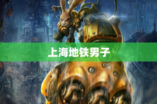 上海地铁男子