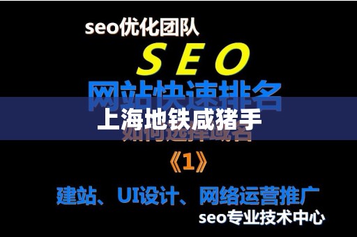 上海地铁咸猪手
