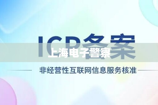 上海电子警察