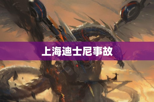 上海迪士尼事故